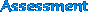 Assessment