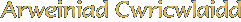 Arweiniad Cwricwlaidd