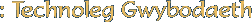 Technoleg Gwybodaeth