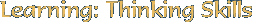 Learning: Thinking Skills