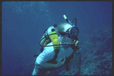 Diver.tif (295080 bytes)