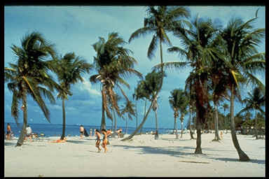 beach.tif (295080 bytes)