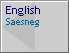 English/Saesneg