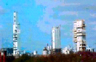 Local Industry