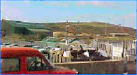 Waste in Port Talbot
