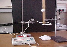 Setup apparatus