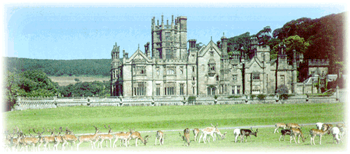 Front view of Margam Castle