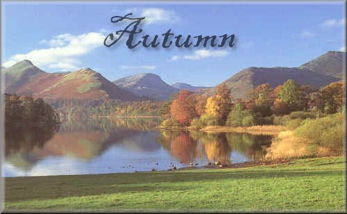 Concerto in F Major - 'LAutunno' Op.8. No.3