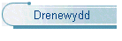 Drenewydd